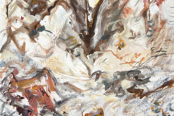 Ativação + Conversa com Marcelo Camara