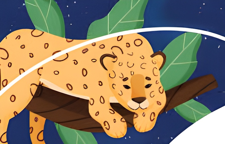 A Contação de Histórias - História da Onça