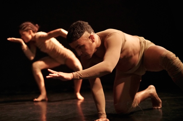 Ostinato circula pelo Distrito Federal